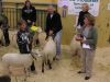 Vinnare Möllers Texel E d W