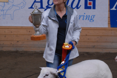 Auktion 2009