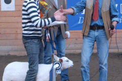 Auktion 2010