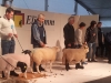 Elmia 2016