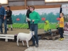 Helander Texel 2013