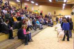 Auktion 2005