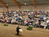 Möllers Texel E d W