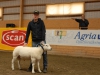 Axel Carlsson E d W