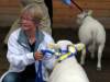 A-M Johansson Linbackens Fokus Best in Show