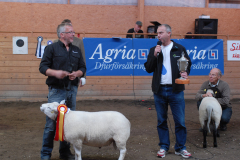 Auktion 2010