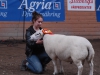 Poel-Texel Best in Show E d W