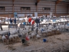 bild-113