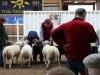 1a. Hulebäckseröd 2a. Möllers Texel 3. Hulebäckseröd