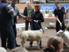 1a.Hulebäckseröd 2a Möllers Texel