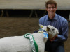 Best in Show Johanneluns- Neptun