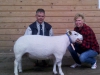 Best in Show Norrby Gård köpte baggen