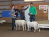 Clas Möller med Viking Best in Show
