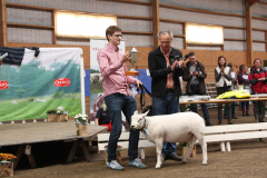 Auktion 2014