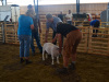 Våxtorp 2014