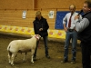 Best in Show Sporups-Paul