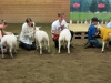 Klass 2