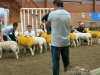 Klass 2