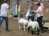 Möllers Texel och Helgö