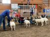 Möllers Texel AG Texel