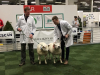 AG Texel och Möllers Texel Mila 2019