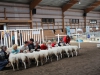 10 ungtacker i klass 1