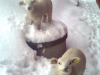 vinterbilder6
